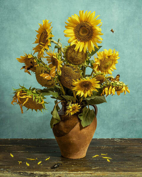Photograph Diana Trillo Sunflowers on One Eyeland